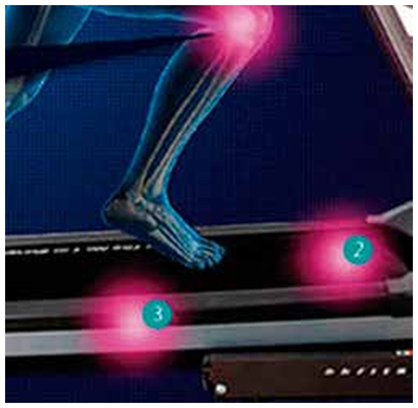 Pioneer Senior Pioneer Senior