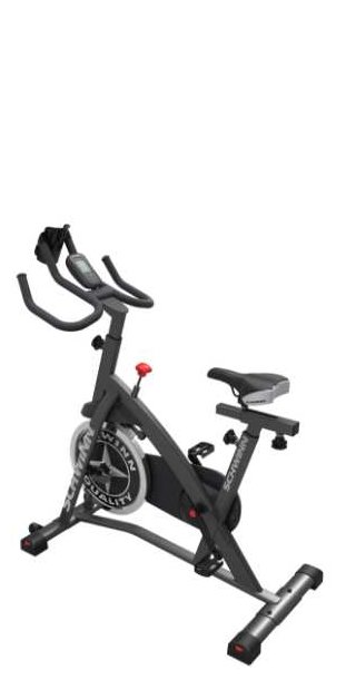 Indoor Bike 700 IC