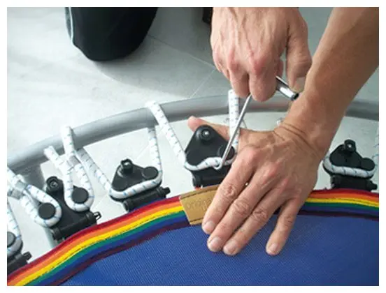 Trimilin vivo Trimilin vivo