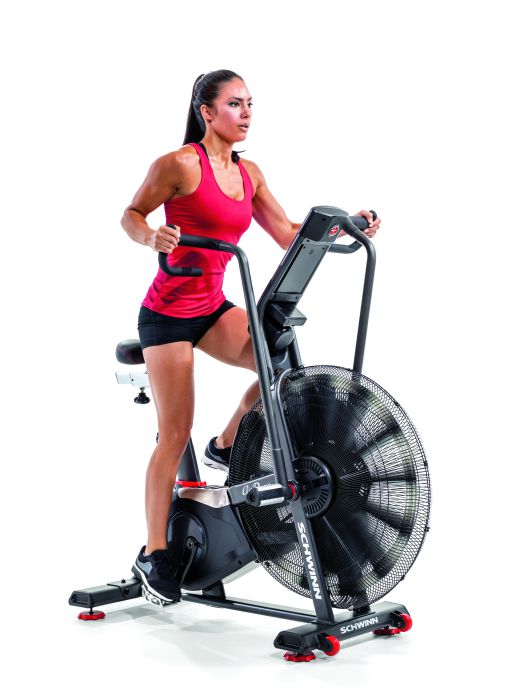 Airdyne AD8