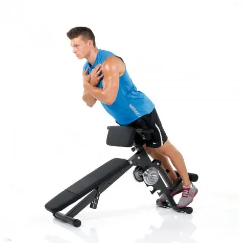 AB & Back Trainer