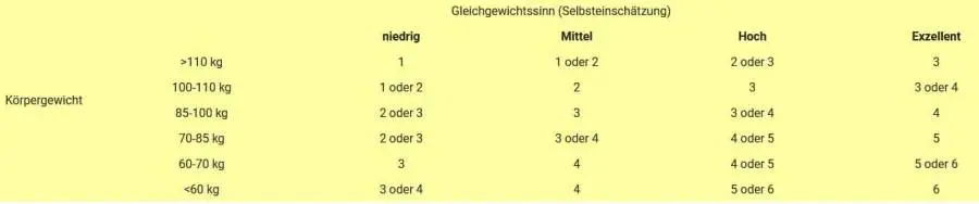 FlowRow Balance-Board 1 Schwierigkeit FlowRow Balance-Board 1 Schwierigkeit